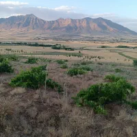 فروش-زمین-برای-خانه-باغ