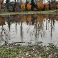 فروش مستغلات