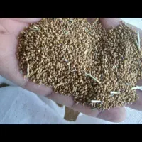 یونجه تضمینی محلی