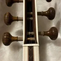 تار سرپنجه قنبری|سازهای سنتی|تبریز, |دیوار