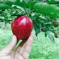 اگر نیارمند سرمایه هستید پیام بگذارید