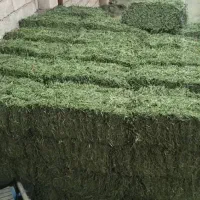 پرس یونجه سبوس گندم کاه گندم جو خوراک اسب|لوازم جانبی حیوانات|اصفهان, شهرک کوثر|دیوار