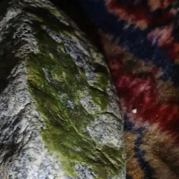 اانواع.شهاب‌سنگ.