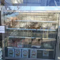 یخچال ویترینی فروشگاهی درحدونو