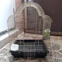 قفس پرنده تازه یکماه خریدم سالم سالم