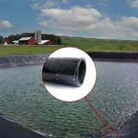 استخر ژئوممبران