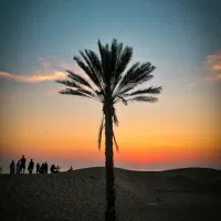 تاکسی چابهارگردی با عکاسی حرفه ای