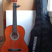 گیتار melodiusa
