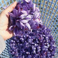 انواع زعفران تولید به مصرف عمده(کیلویی،بسته بندی)|خوردنی و آشامیدنی|شیراز, نصر|دیوار