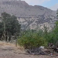 زمینی ۱۵کیلومتری یاسوج مسلط برتنگ گنجه ای جهت ویلا