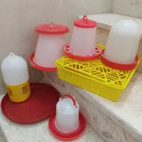 آبخوری دانخوری جوجه و کبوتر سبد هچر