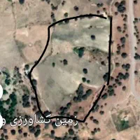 اجاره-زمین-کشاورزی