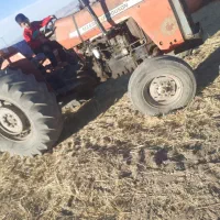 فرگوسن.بشرط.سالم|خودرو سنگین|سلطانیه, |دیوار