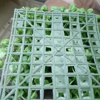 فروش تعدادی سبزه شمشادی|گل مصنوعی|قم, نیروگاه|دیوار