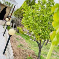 با سلام فروش ویلا