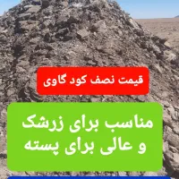 بهترین کود حیوانی|خدمات باغبانی و درختکاری|بیرجند, |دیوار