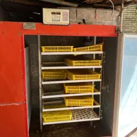 دستگاه جوجه کشی
