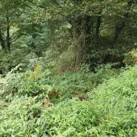 باغ1000متری-درکهریزسنگ-گل-مینا