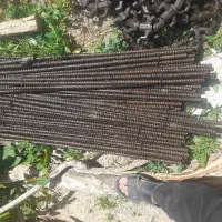 بولت یکمتری