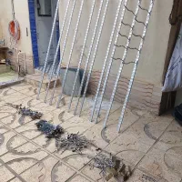 رگال