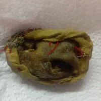 مهره قدیم