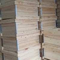 جعبه کندو،طبق،قاب|عمده‌فروشی|خرم‌آباد, |دیوار