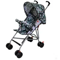 کالسکه ارابه عصایی