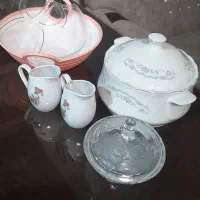 همشون نونو هستن