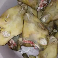 کله پاچه و سیرابی . گوسفندی