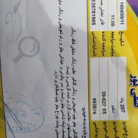 ۲۰۷پانامدل۱۴۰۱سیرجان