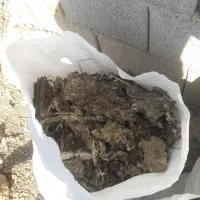 کود کبوتر|لوازم جانبی حیوانات|خمینیشهر, |دیوار