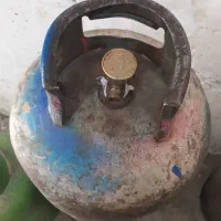 کپسول 25 کیلویی پیک‌نیک 1 کیلویی