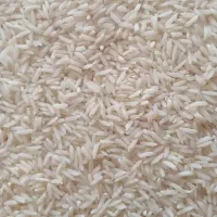 برنج هاشمی 1