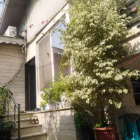 بنجامین