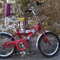 دوچرخه ۱۶و۲۰|دوچرخه، اسکیت، اسکوتر|هشتگرد, شهرک ایران خودرو|دیوار