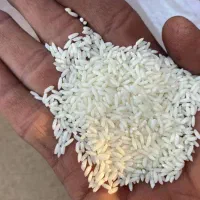 برنج سینماسوری|خوردنی و آشامیدنی|اهواز, آریاشهر|دیوار