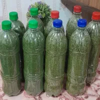 شوید ، نعناع ، خالواش ، چوچاق خشک