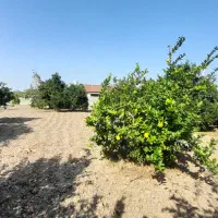 زمین مسکونی|فروش زمین و ملک کلنگی|گتاب, |دیوار