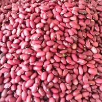 لوبیا قرمز