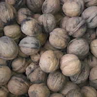 گردو تویسرکان