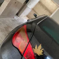 Mg شوالیه ۲۰۱۰