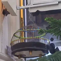 سهره خ ا ک ی