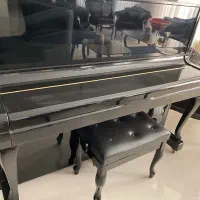 پیانو آگوستیک والد اشتاین در حد نو