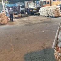 اجاره ۳ دنگ حجره|اجارهٔ مغازه و غرفه|تهران, میدان میوه و تره‌بار مرکزی|دیوار