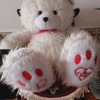 شاسخین سفید