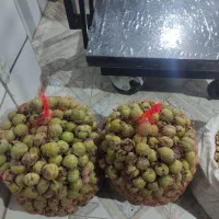 فروش خرید بادام و گردو|خوردنی و آشامیدنی|زاینده رود, |دیوار