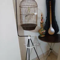 عروس هلندی با قفس