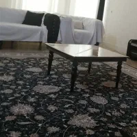 دو عدد تخته فرش 12 متری،|فرش|شیراز, شهرک گلستان|دیوار