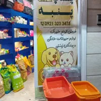 فروشنده خانم