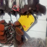 جل اسب|اسب و تجهیزات اسب‌سواری|تهران, دریاچه شهدای خلیج فارس|دیوار